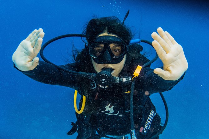 Open Water Course Cozumel - Who should take this course?