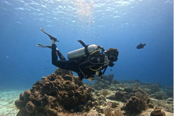 Open Water Diver Course - Key details before you book