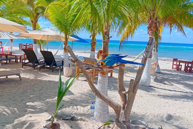 Otoch Mayan Experience Tour: Cultural & Historical Adventure - San Miguel gives you a taste of everyday Cozumel