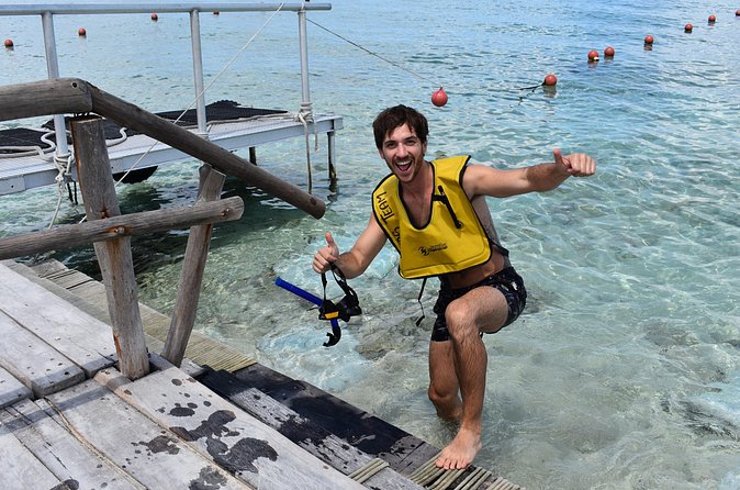 Playa Uvas Beach Club All-Inclusive Pass - The guided snorkel session and its fish