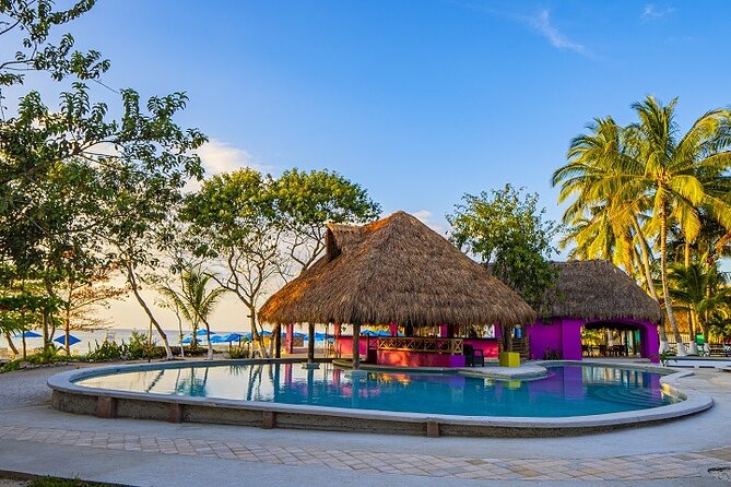Playa Uvas Open Bar Exclusive Pass - The 30-minute guided shore snorkel