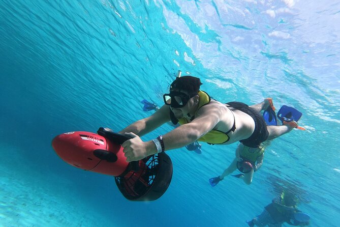 Power Snorkel By Sea Scooters & Tequila Tasting - What you may see below the surface