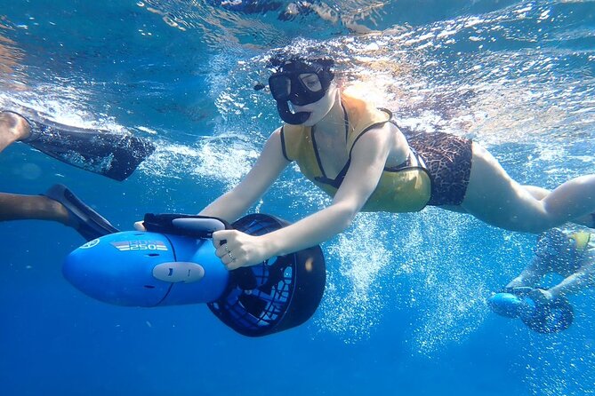 Power Snorkel By Sea Scooters & Tequila Tasting - Is $81 a fair price?