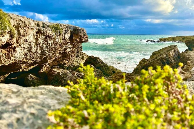 Private Buggy & ATV Tour to Jade Cavern Cenote: All-Inclusive - Tequila, chocolate, and eight tasting pours