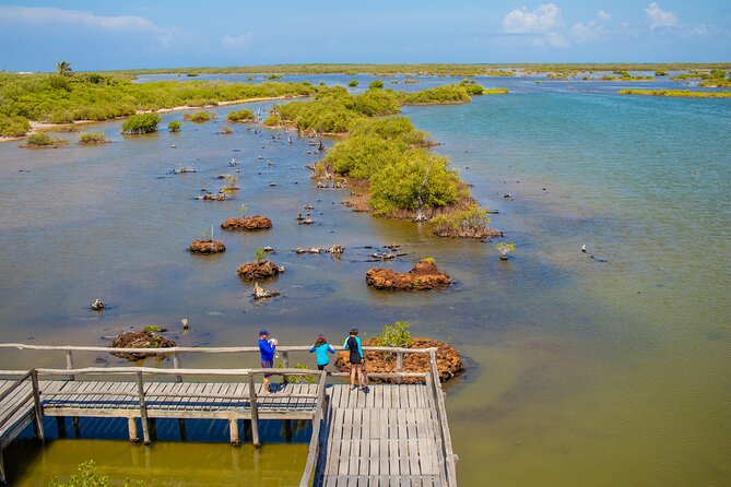 Private Buggy Tour and Punta Sur Park: All-Inclusive - El Mirador and Cozumel’s Rough East Coast