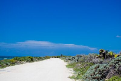 Private Buggy Tour and Punta Sur Park: All-Inclusive