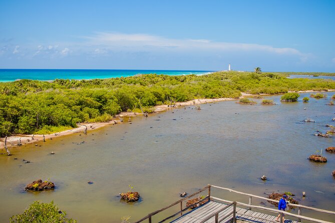 Private Buggy Tour and Punta Sur Park: All-Inclusive - A Short Pause at Playa San Martín