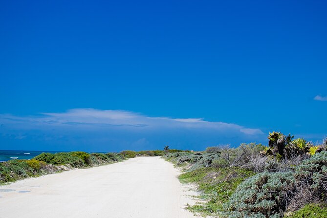 Private Buggy Tour and Punta Sur Park: All-Inclusive - Punta Sur, Crocodiles, and the Celarain Lighthouse