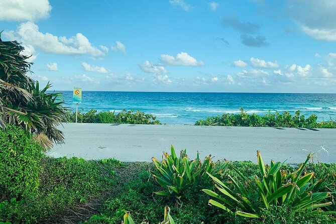 Private Buggy Tour in Cozumel, Snorkel & Lunch: All Inclusive - Brando, Gizmo, and Jose: how much does the guide matter?