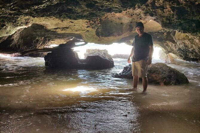 Private Cozumel Cave and Ruin Exploration Tour with Mexican Lunch - San Martin Turtle Camp adds a seasonal wildlife lesson