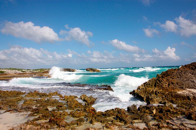 Private Cozumel Jeep and Jade Cavern Cenote Tour - Chen Rio offers a calmer water stop