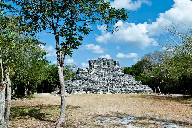 Private Island Tour at Your Leisure - Downtown Cozumel, markets, and everyday island life