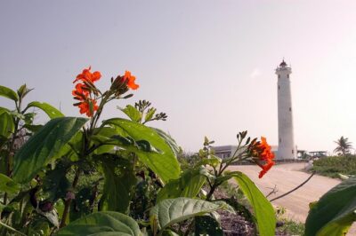 Private Island Tour at Your Leisure