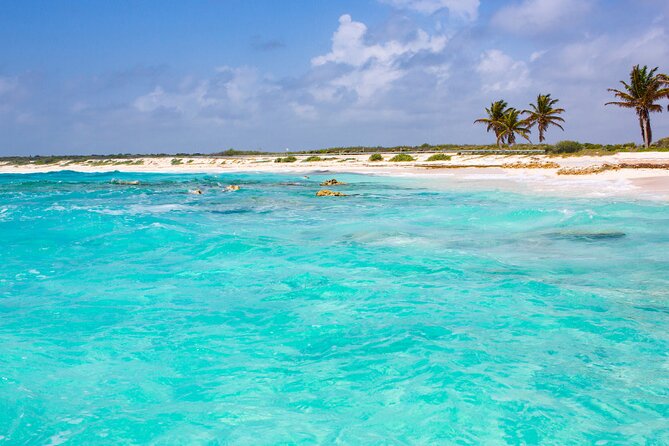 Private Jeep and 4x4 Polaris RZR Tour with Mexican Lunch - Playa San Martín is the quiet pause