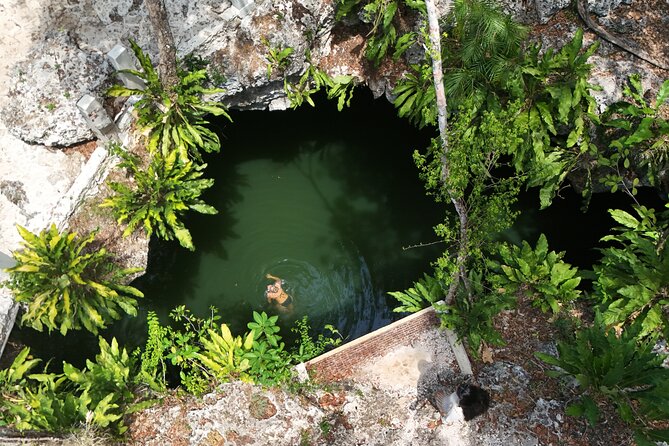 Private Jeep Cenotes Expedition in Cozumel – Swim & Mayan Park - Key points to know before booking