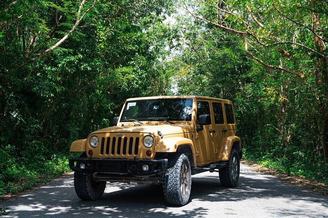 Private Jeep Cenotes Expedition in Cozumel – Swim & Mayan Park - A five-hour Cozumel outing with real variety