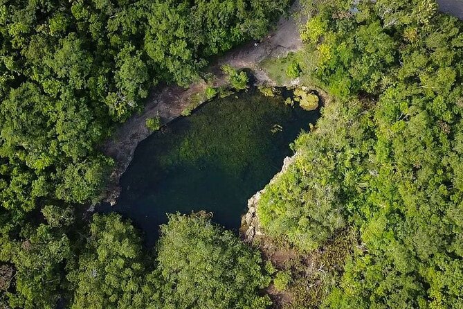 Private Jeep Cenotes Expedition in Cozumel – Swim & Mayan Park - Cenote Aerolito: cool water and cave formations