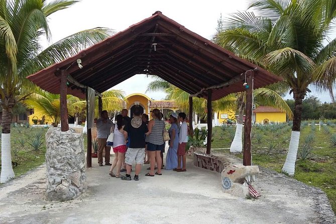 Private Jeep Excursion in Cozumel with Lunch and Snorkeling - Chankanaab, snorkeling, and lunch