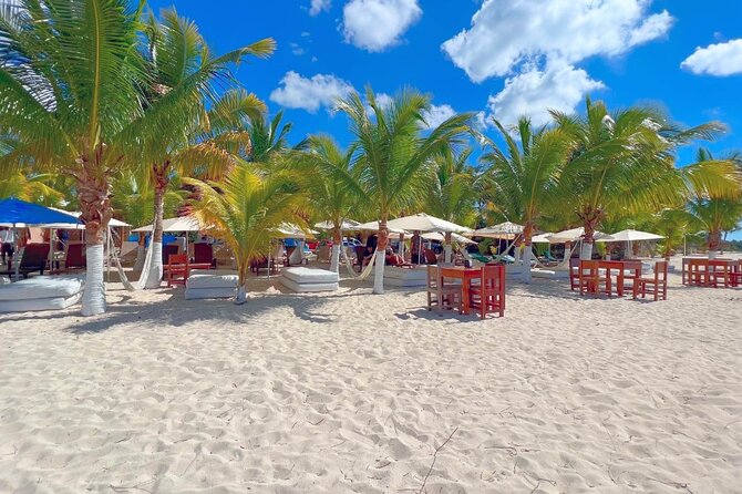 Private Jeep or Buggy Tour Snorkeling Maya Park and Tacos - How the timing works for a cruise day