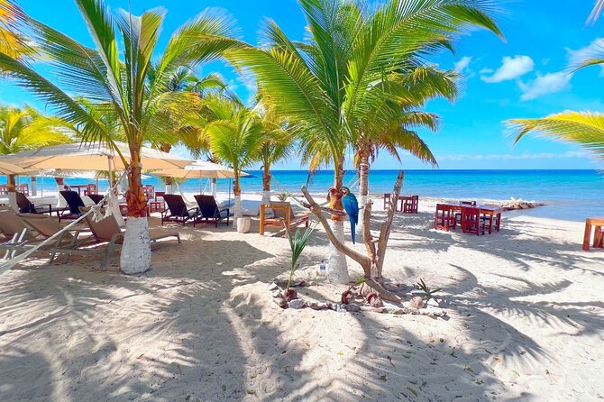 Private Jeep or Buggy Tour Snorkeling Maya Park and Tacos - What the $79 price really covers