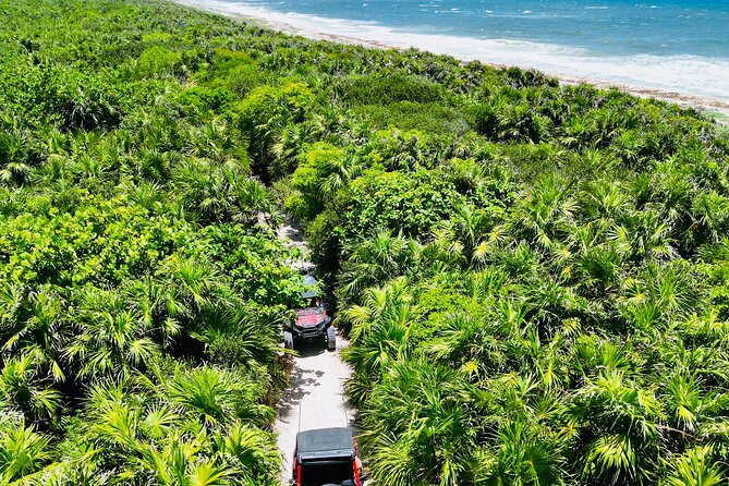 Private Jeep & Polaris RZR: San Gervasio Mayan Ruins & Snorkeling - A five-hour sampler of Cozumel