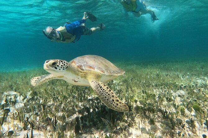 Private Jeep Tour & ATV to Jade Cavern Cenote: All Inclusive - A fast tour with a big Cozumel payoff