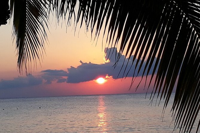 Private Jeep Tour in Cozumel - Punta Sur: crocodiles, birds, and a lighthouse climb