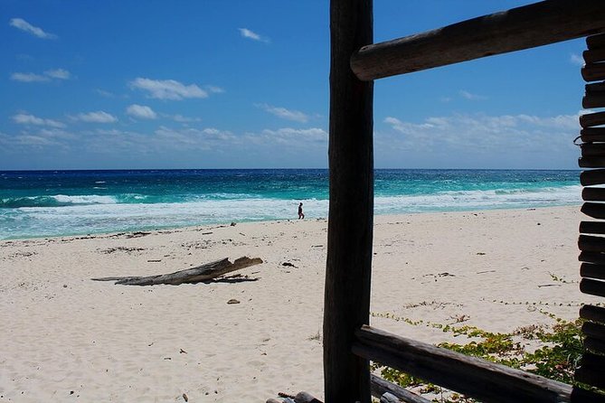 Private Jeep Tour in Cozumel - A short tequila lesson and tasting