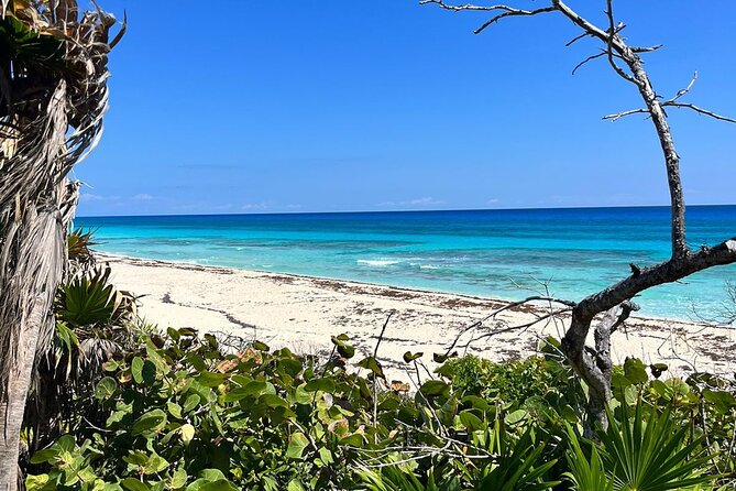 Private Mayan Ruins Tour with Cenote/caves and Mexican Picnic - Cenote Aerolito de Paraiso