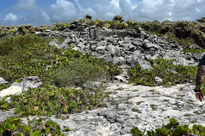 Private Mayan Ruins Tour with Cenote/caves and Mexican Picnic - Price, timing, and cruise-day value