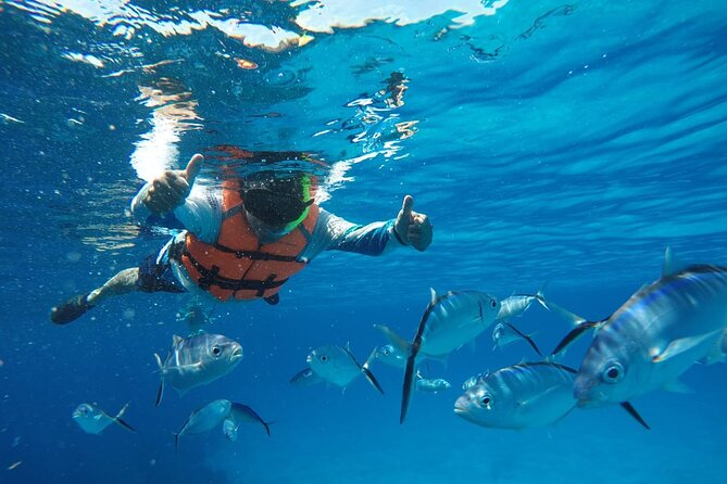 Private Sky Snorkeling Tour - Columbia Reef and its variety of fish