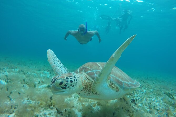 Private Sky Snorkeling Tour - El Cielo’s 30-minute sandbar stop