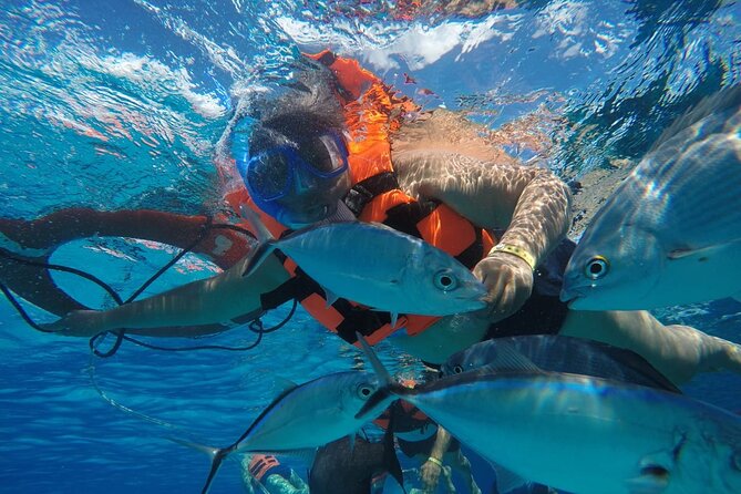 Private Sky Snorkeling Tour - Ceviche, fruit, and drinks back on the boat