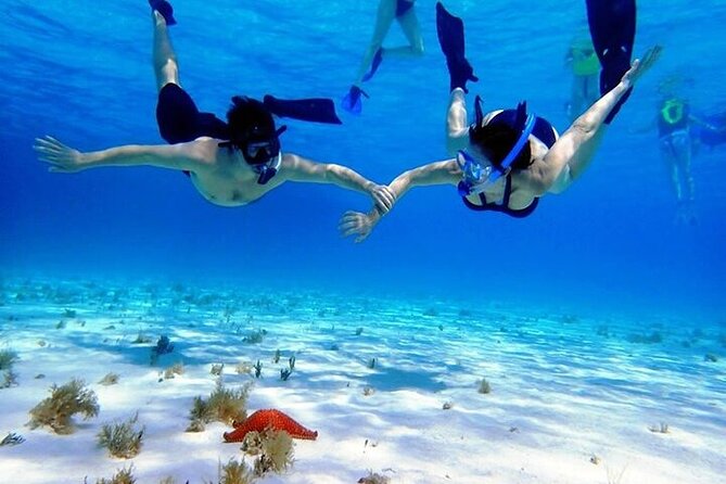 Private Tour in Cozumel El Cielo Sandbar and Reef Snorkeling - Reefs first, starfish afterward