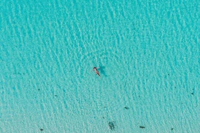 Private Tour in Cozumel El Cielo Sandbar and Reef Snorkeling - About 45 minutes in Starfish Bay