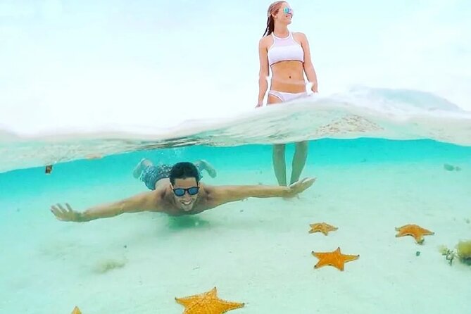 Private Tour in Cozumel El Cielo Sandbar and Reef Snorkeling - Meeting point, taxis, and cruise timing