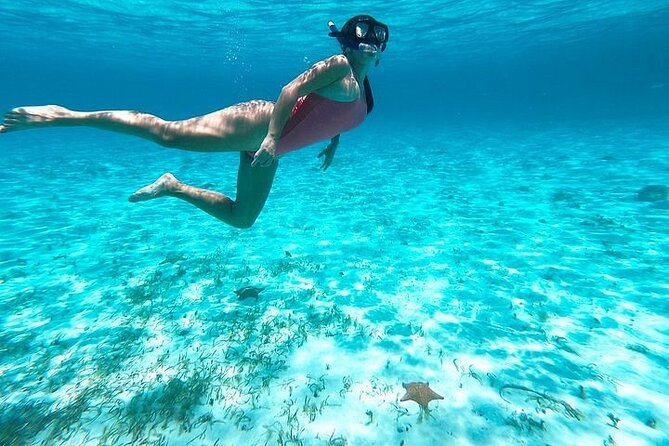 Private Tour in Cozumel El Cielo Sandbar and Reef Snorkeling - Is $189 per person a fair price?