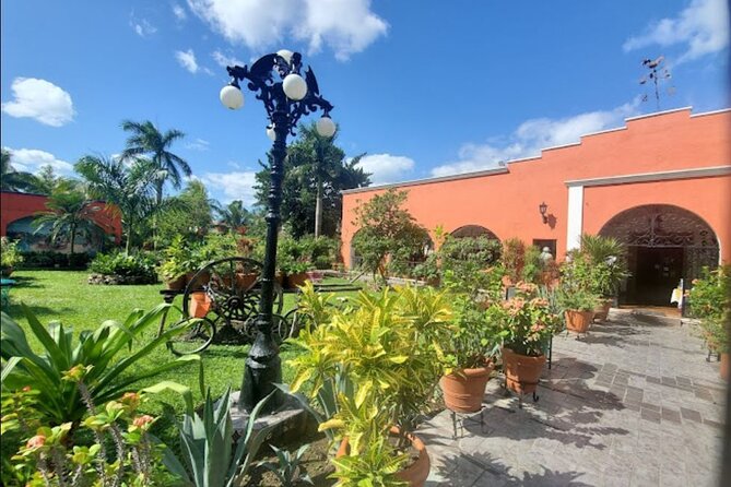 Private Tour of Cozumel in your own way Groups up to 6 People - Chankanaab and Punta Sur: two different kinds of island day