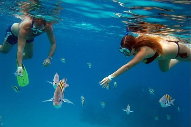 Private Tour of Cozumel in your own way Groups up to 6 People - Coastal stops, tequila, chocolate, and Paco the crocodile
