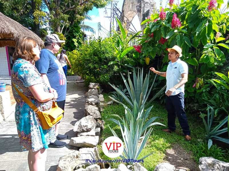 Private Van Service. Tasting the best of Cozumel - What the $338 group price really buys