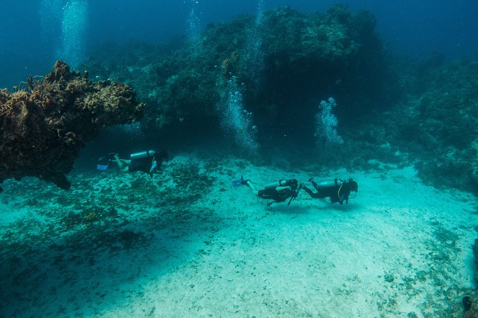 Scuba Diving in Cozumel Island - Two sessions, with time to rest between them