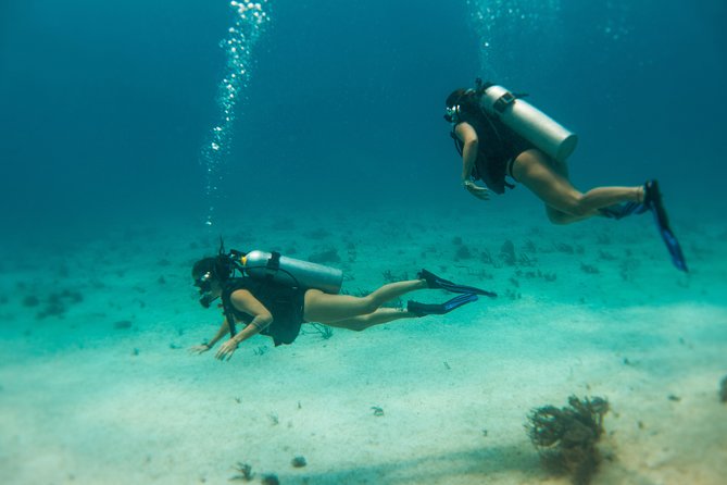 Scuba Diving in Cozumel Island - What the underwater time may include