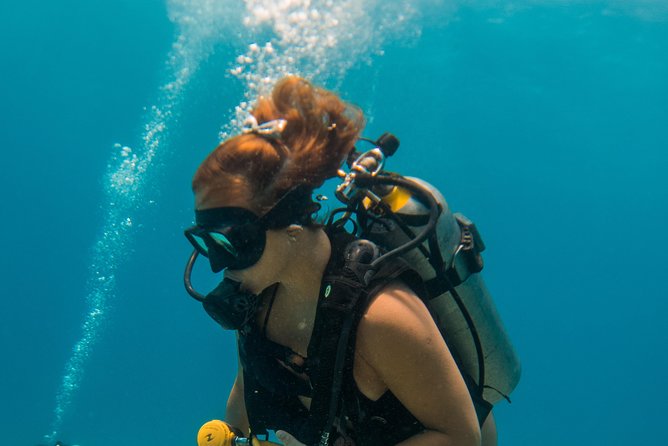 Scuba Diving in Cozumel Island - Instruction for beginners and returning scuba participants
