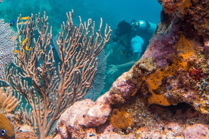 Scuba Diving in Cozumel Island - The 45-minute ride to the reef