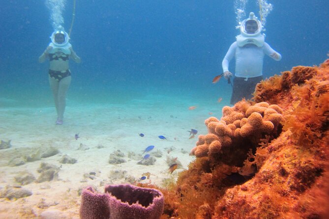 Sea Trek Adventure at Chankanaab National Park - The Four-Person Limit Works in Your Favor