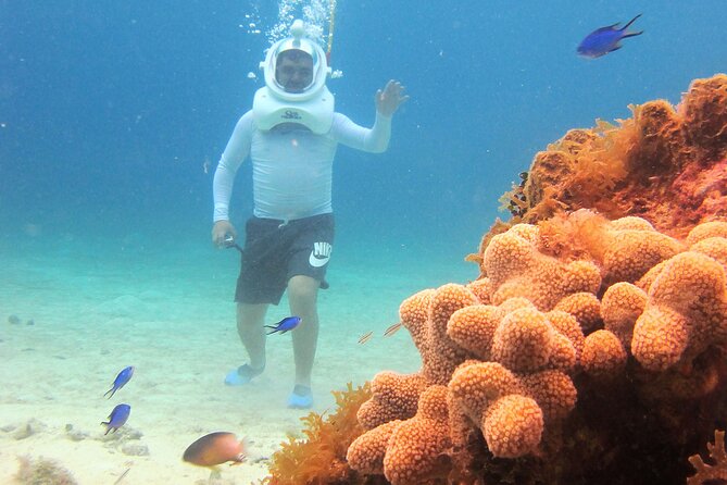 Sea Trek Adventure at Chankanaab National Park - Getting There and Planning the Rest of Your Day
