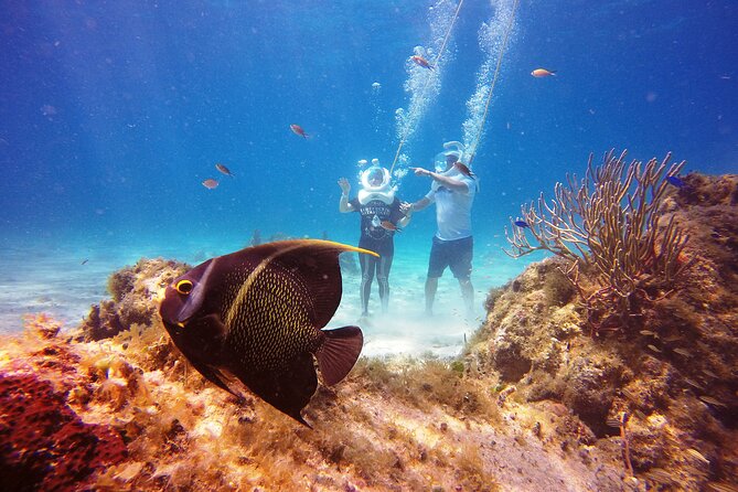 Sea Trek Adventure at Chankanaab National Park - Who Will Enjoy This Most?