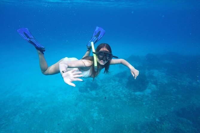 Shared Sky Snorkeling in Cozumel - A half-day built around Cozumel’s best-known reefs