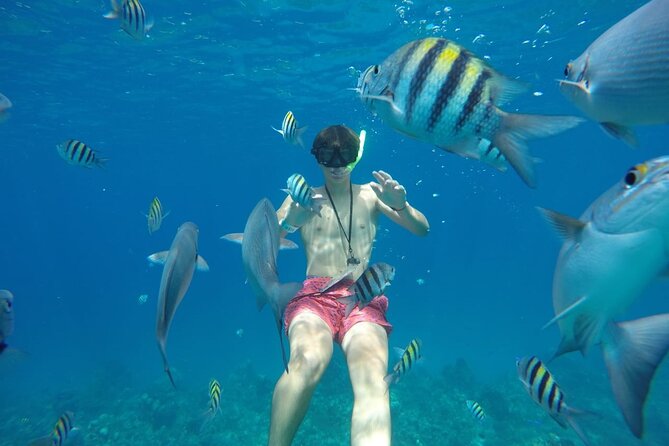 Shared Sky Snorkeling in Cozumel - Why El Cielo makes a good final stop