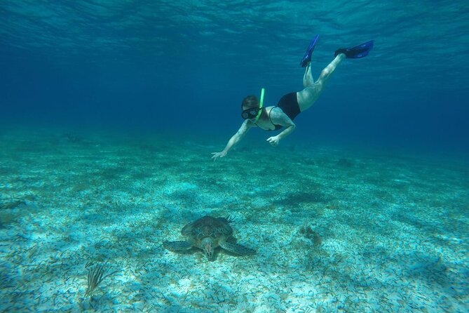 Shared Sky Snorkeling in Cozumel - Ceviche, guacamole, fruit, and drinks are part of the value